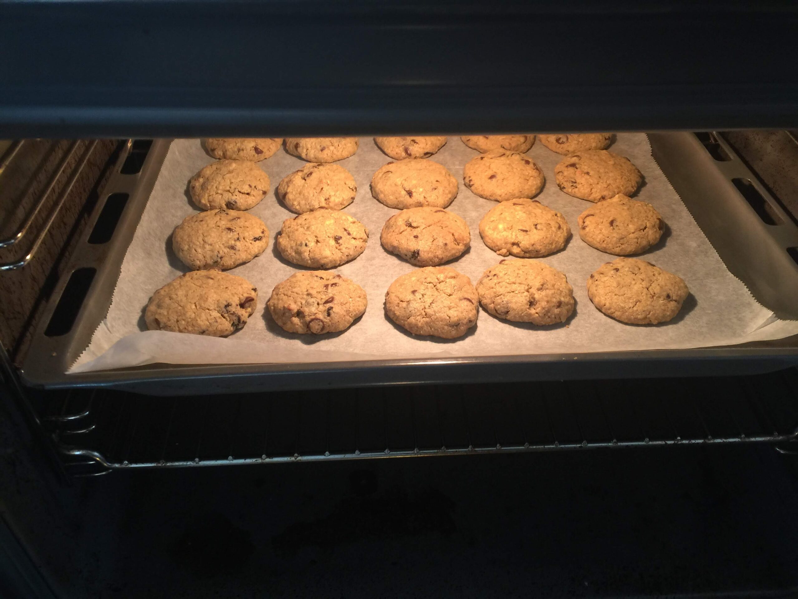 עוגיות שיבולת שועל